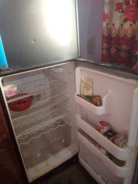 fridge 5