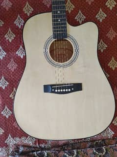 Washburn Accoustic Guitar
