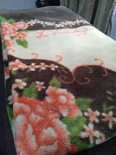 Double size and double ply blanket