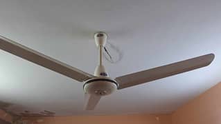 5 celling fans each fan 6000/- 56 inch size