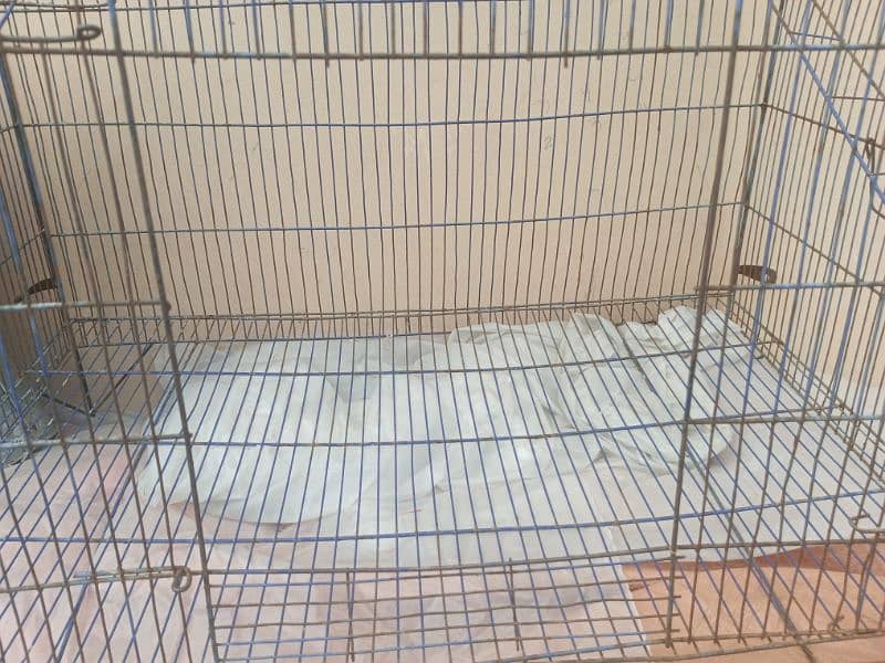 Parrott cage for Sale 1