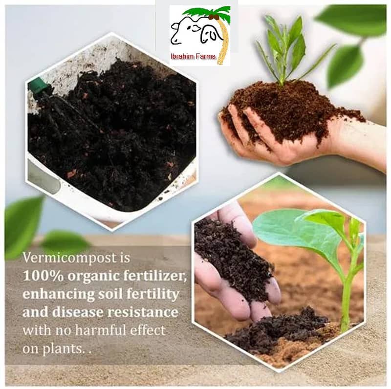 A+ Quality Vermicompost - Natural and Organic Fertilizer 50kg Bag 2