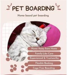 cat boarding available home based cage free