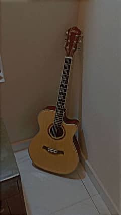 Brand new guitar