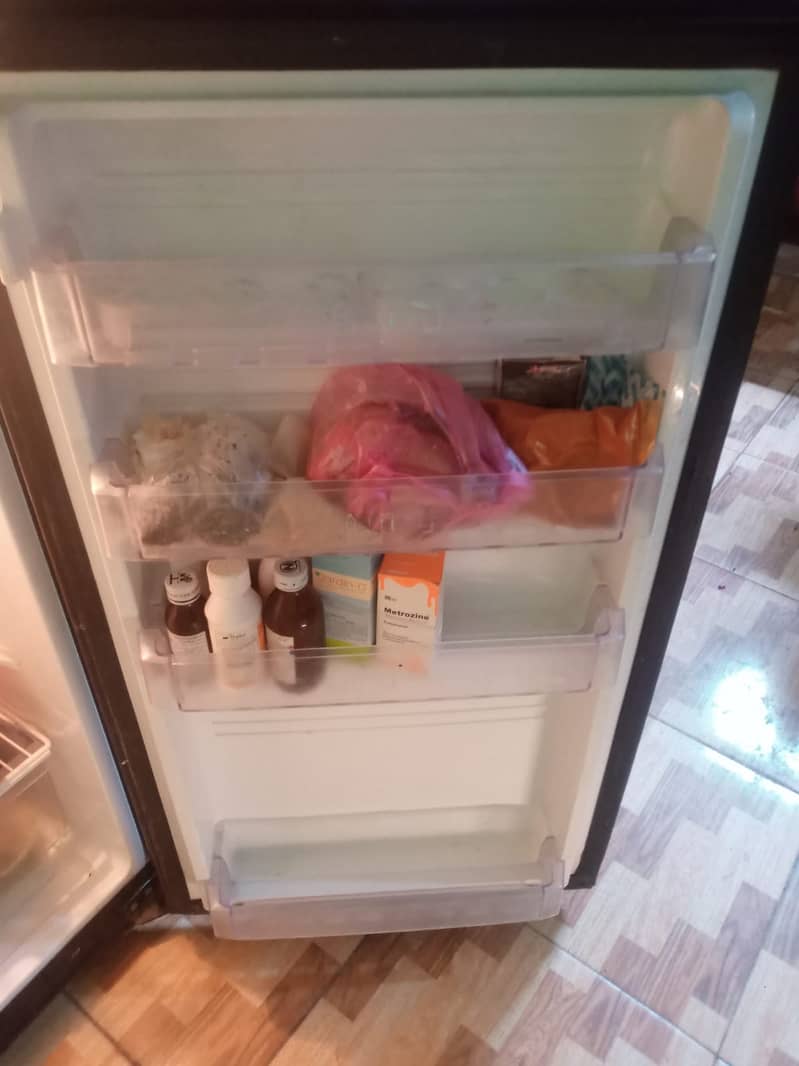 Pel Medium Size Refrigerator 2