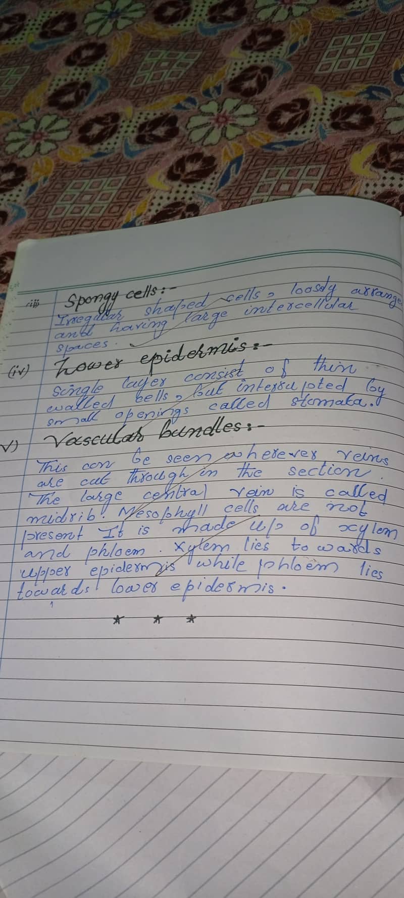 Handwritten assignment work 6