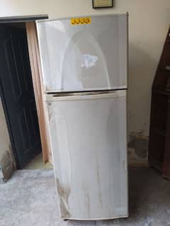 Full size Dawlance fridge non inverter compressor not working