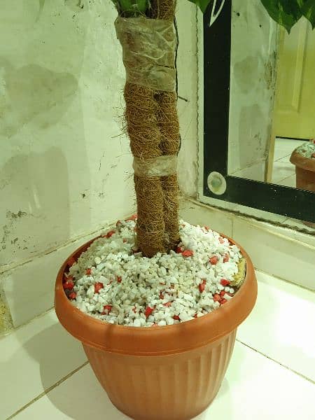 Artificial Plant Tree 3