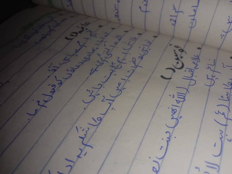 Handwritten Assignment Writer 4