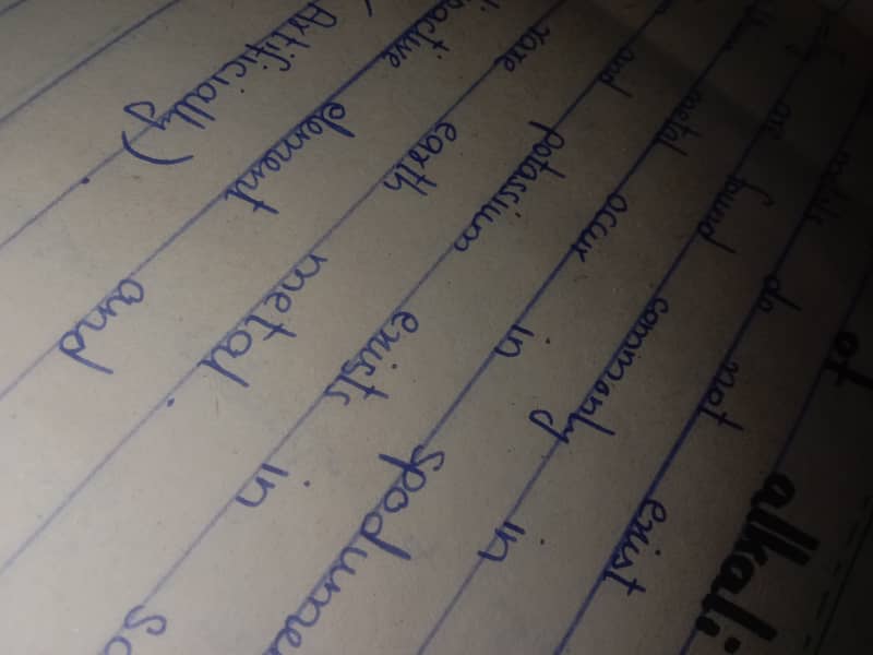 Handwritten Assignment Writer 8