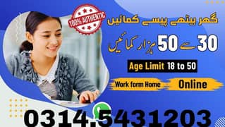 part-time online job / Tayping/ Assignment work / Data entry 0