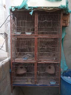 6 portion cage
