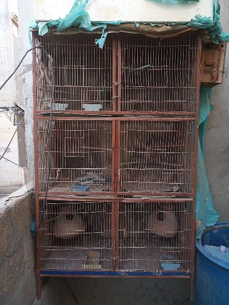 6 portion cage 0