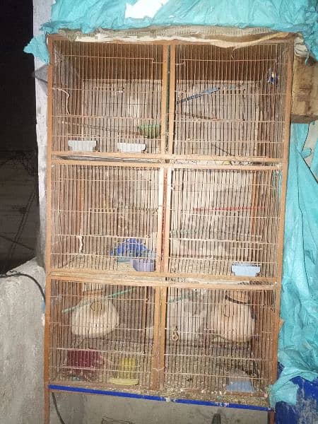 6 portion cage 1
