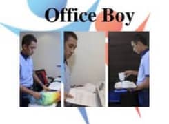 office boy required