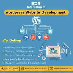 Web development / WordpressDevelopment / Website SEO