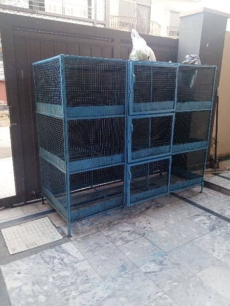 Hens Cage 1
