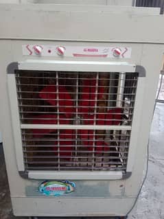 Electric air cooler