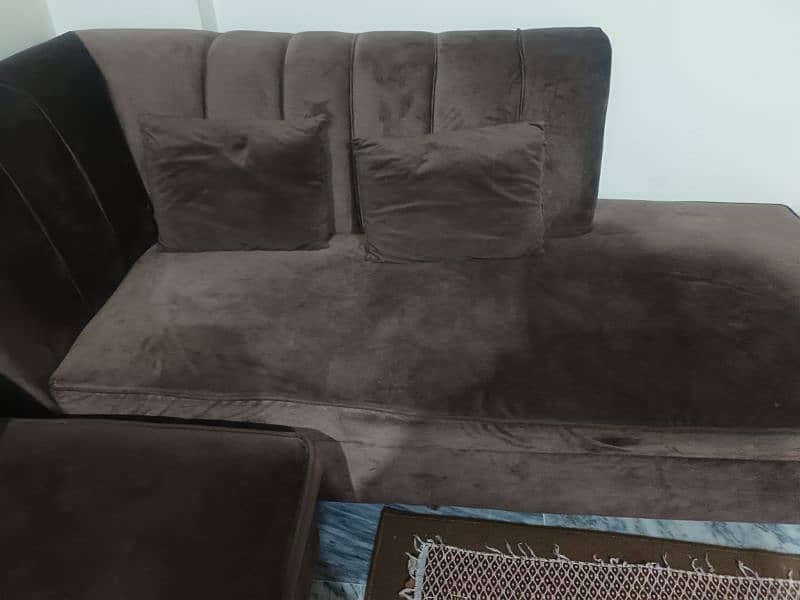 Chocolate Brown color velvet sofa 1