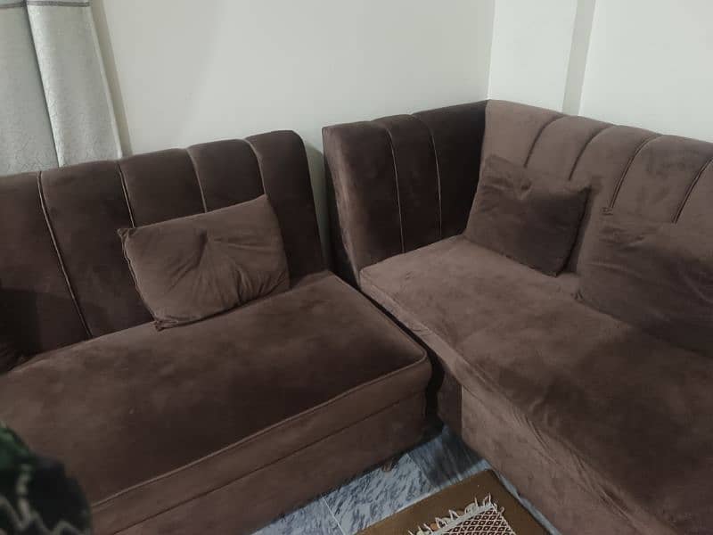 Chocolate Brown color velvet sofa 3