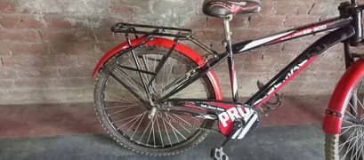 New condition big Bicycle