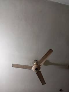 sufi ceiling fan