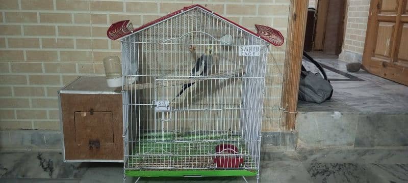 COCKTAIL TAMED MITHOO BOLTA HY WITH CAGE HY 3