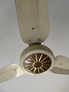 Ceiling Fan Orient Big Motor