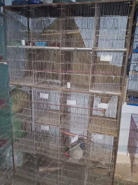 Birds Cage 2