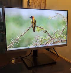 24" inch HP LED with Bezelles Display Monitor for Sale