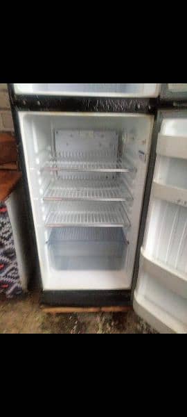 freezer 4