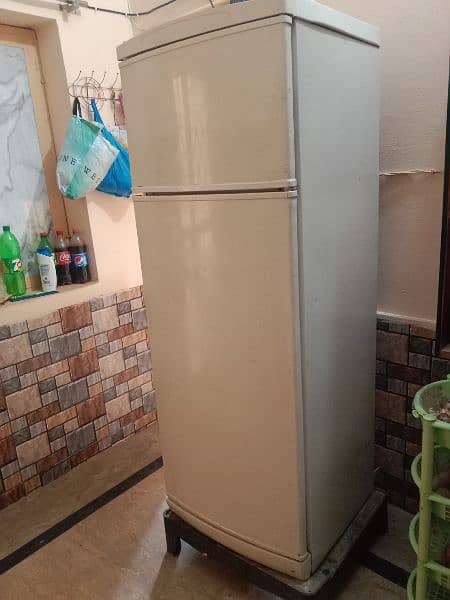 Gorengi American Refrigerator 1