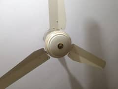 2 ceiling fan