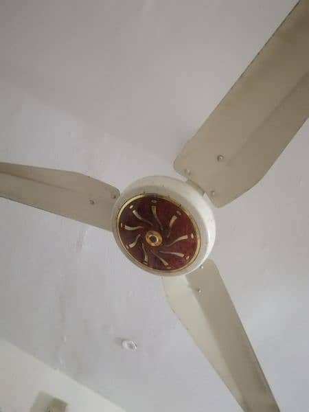 2 ceiling fan 2