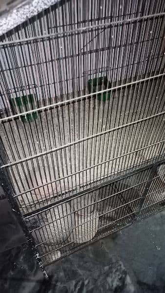 bird cage 3