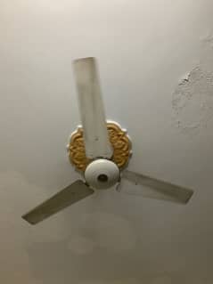 2 ceiling fan for 6500 0