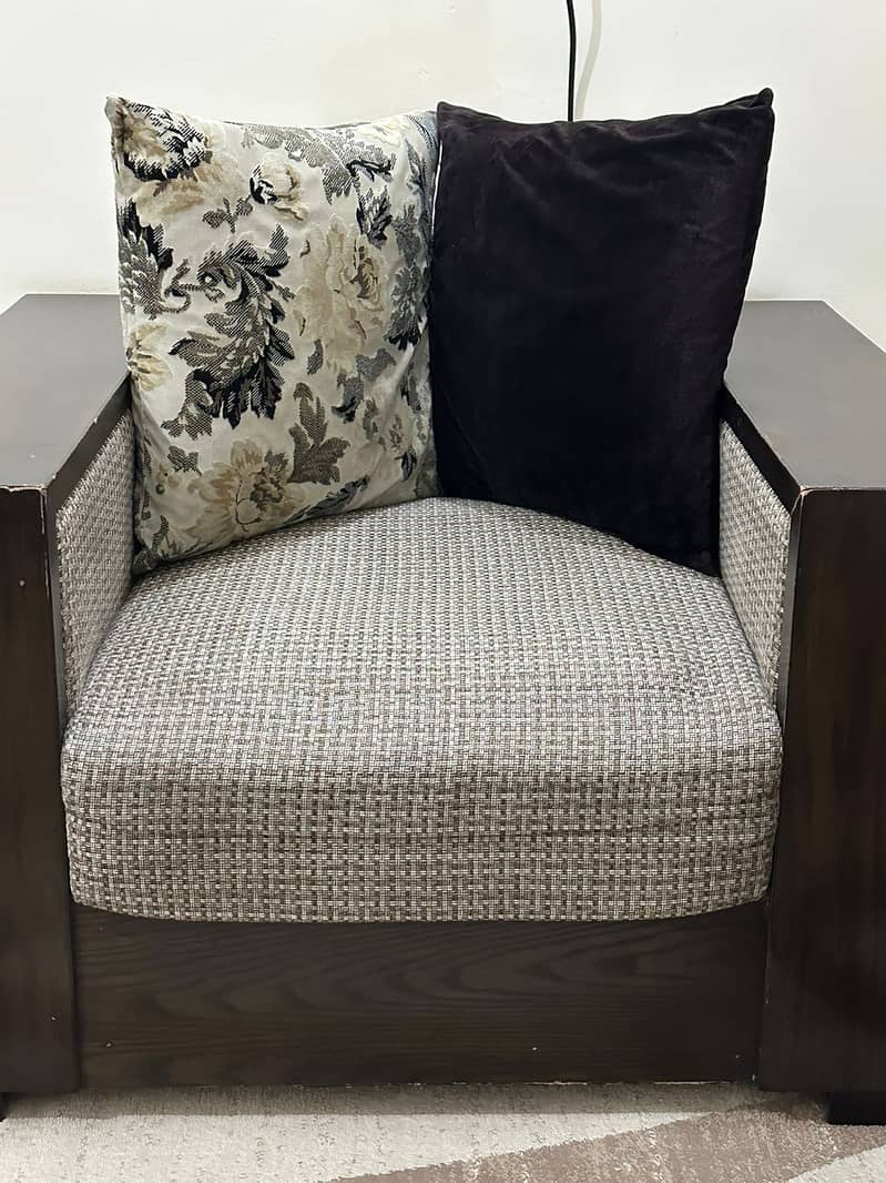 Modern Style Sofa Set for sale 4