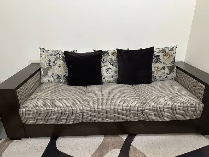 Modern Style Sofa Set for sale 6