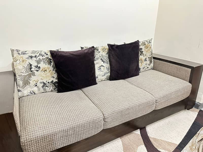Modern Style Sofa Set for sale 7