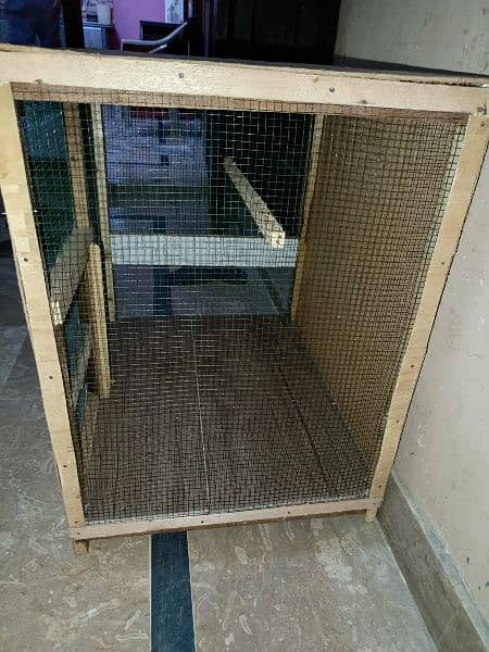 new cage 1