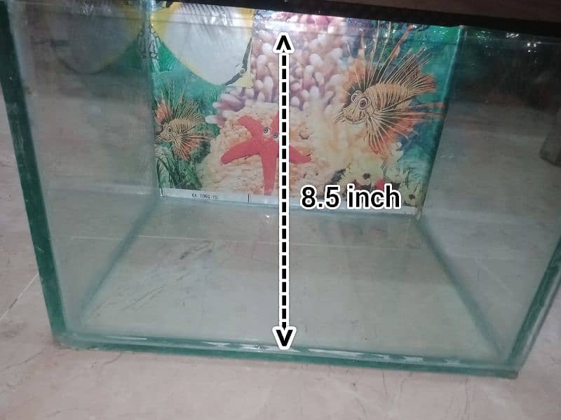 finally 1500 1 ft by 9.5 inch & 8.5 photo me size dakhe mota aquarium 1