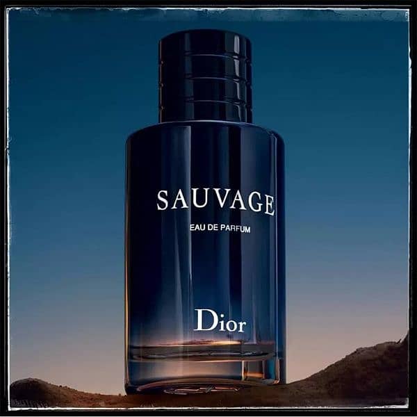 ( Sauvage) One of the Best perrfume 1