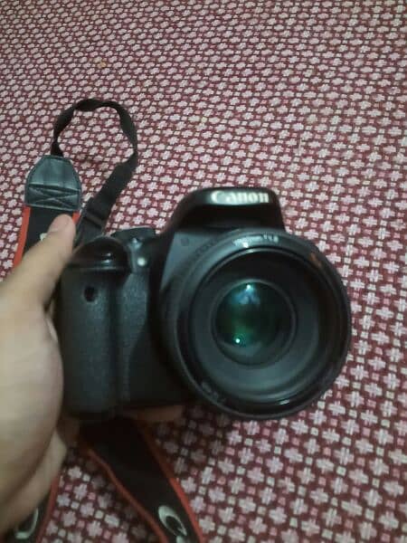 Canon 600D with 50mm Lens 5