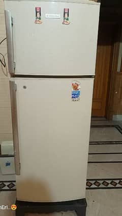 Electrolux Company For sale Urgent Good Condition