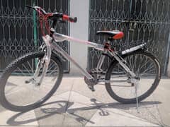 24/26" Brand New Phoenix bicycle (wholesaler)