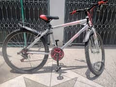 24/26" Brand New Phoenix bicycle (wholesaler)