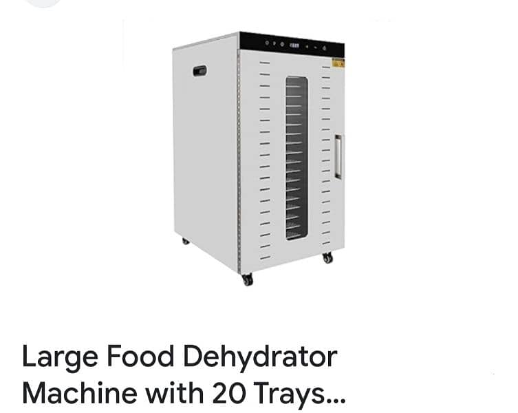 Dehydration cabinet for food items 20 trays 220 voltage steel body New 2