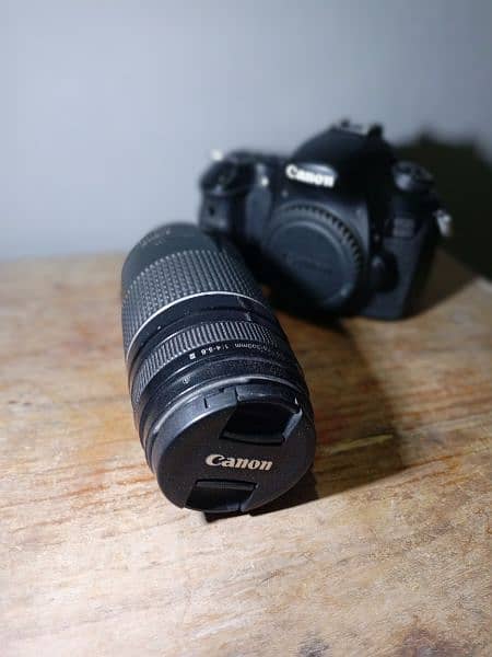 canon 60d with 75-300mm zooming lens 1