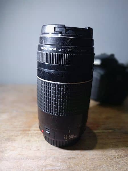 canon 60d with 75-300mm zooming lens 2