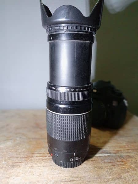 canon 60d with 75-300mm zooming lens 4